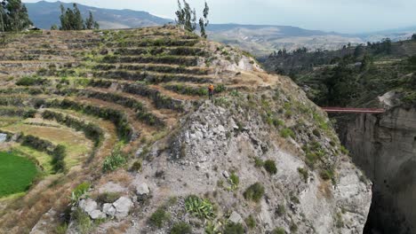 Aerial-orbits-man-on-agriculture-terraces-in-Colca-River-canyon,-Peru