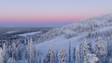 Luftaufnahme-über-Frostigen-Wald,-In-Richtung-Der-Hänge-Von-Salla,-Polarnacht-In-Finnland