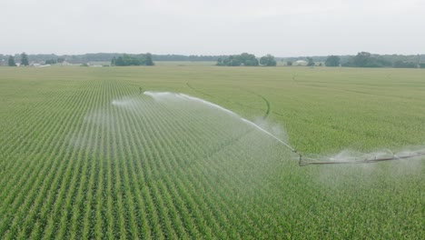 Drone-view-of-pivot-irrigation-in-corn-field-spraying-water-to-the-field