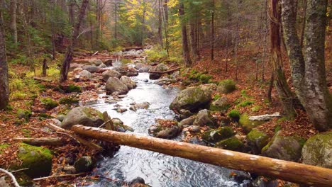 aerial-journey-down-clear-mountain-stream-in-the-fall-running-with-water-Mont-Tremblant,-Québec,-Canada