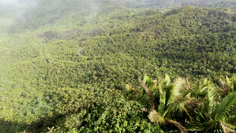 Lebhafter-Grüner-Dschungel-An-Einem-Sonnigen-Tag-In-Puerto-Rico,-Luftaufnahme-über-Den-Wolken