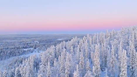 Luftbild-Kamerafahrt-Durch-Verschneite-Wälder-Und-Das-Skizentrum-Salla,-Polarnacht-In-Finnland