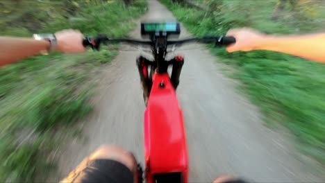 Man-goingt-hrough-the-forest-with-his-ebike