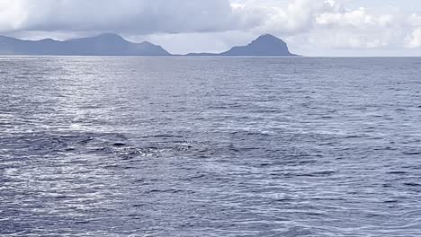 Una-Hermosa-Pareja-De-Ballenas-Piloto-Macho-Y-Hembra-Nadan-Tranquilamente-Cerca-Y-Emergen-Para-Respirar-Desde-Las-Profundidades-Del-Océano-Con-La-Montaña-Le-Morne-Al-Fondo.