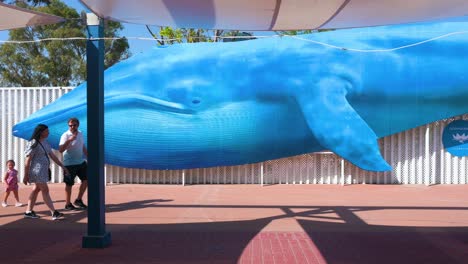 Visitors-pass-by-a-giant-blue-whale-image-at-Oceanografic,-Europe's-largest-oceanographic-park-in-Valencia,-home-to-over-500-marine-species-like-dolphins,-belugas,-and-sharks-in-Spain