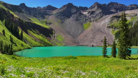 Windy-wildflowers-Lower-Blue-Lake-Mount-Sneffels-Wilderness-beautiful-sunny-morning-Ridgway-Telluride-Colorado-aerial-drone-San-Juan-Rocky-Mountains-Dallas-Range-blue-sky-hiking-trails-forward-pan-up