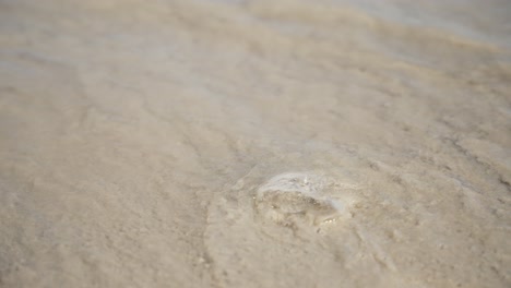 Eine-Welle-Bricht-über-Einem-Stück-Plastikmüll-An-Einem-Sandstrand-Zusammen-Und-Verdeutlicht-Die-Umweltverschmutzung-Und-Die-Auswirkungen-Von-Meeresmüll.