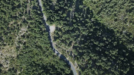 Drone-Aerial-top-down-White-car-follow-road-through-Mediterranean-green-mountain-forest