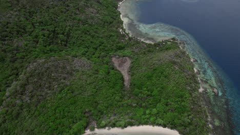 Vista-Aérea-De-Arriba-Hacia-Abajo-De-Una-Playa-Prístina-Con-Aguas-Verdes-Cristalinas-En-Palawan,-Filipinas