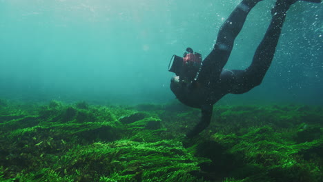 Diver-swims-dragging-hand-across-underwater-seaweed-kelp-seagrass-bed-with-camera-in-tow,-slow-motion-gliding-through-clear-water