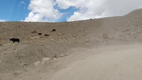 Landscape-view-of-ladakh-in-India