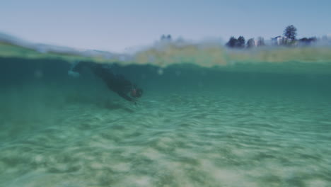 Slow-motion-underwater-clip-of-fish-swimming-above-a-seaweed-bed-in-clear-ocean-water,-showcasing-the-richness-of-the-marine-habitat-and-natural-scenery