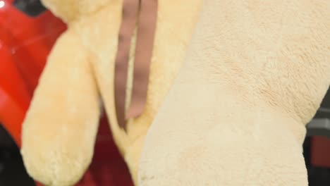 yellow-colour-teddy-bear-legs-to-face-closeup-view