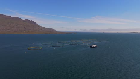 Entdecken-Sie-Die-Atemberaubende-Schönheit-Der-Lachsfarmen-Islands-Durch-Faszinierende-Drohnenaufnahmen,-Die-Die-Ruhigen-Gewässer-Und-Innovativen-Aquakulturpraktiken-Präsentieren