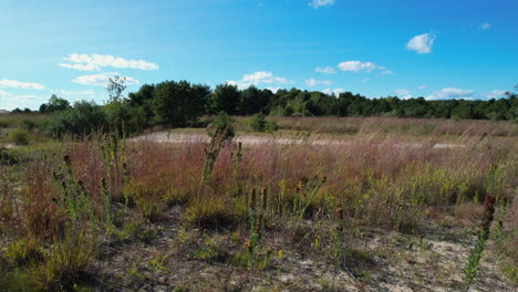 Low-drone-flight-over-the-recovering-nature-of-the-Big-River-areas-in-Rhode-Island