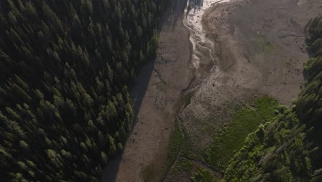 Aerial-overview-over-Grassy-Lake-Reservoir,-Wyoming,-with-tense-green-forests,-calm-waters,-and-mountains-in-the-background-under-clear-skies