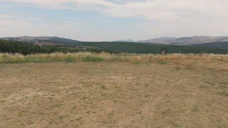 flight-on-a-large-elevated-platform-of-land-and-upon-passing-it-we-see-with-a-turn-an-immense-forest-of-wild-pines-and-in-the-background-mountains-belonging-to-the-Sierra-de-Gredos