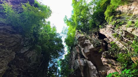 Eine-Wunderschöne-Aussicht-Auf-Bäume-Und-Weinreben,-Die-Elegant-über-Eine-Kalksteinformation-In-Der-Kek-Look-Tong-Höhle-In-Ipoh,-Malaysia-Herabfallen---Aufnahme-Aus-Niedriger-Perspektive