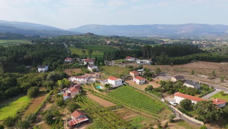 Luftaufnahme-Der-Region-Alto-Minho-Mit-Grünen-Weinbergen-Und-Weißen-Dorfhäusern-In-Portugal