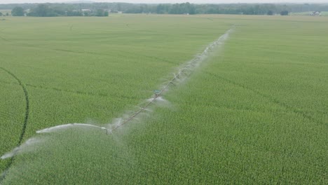 Pan-shot-of-pivot-irrigation-by-sprinkling-water-to-the-corn-field