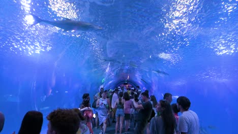 Underwater-views-of-visitors-in-the-Atlantic-and-Pacific-species-tunnel-at-Oceanografic,-Valencia,-showcasing-marine-fish,-sharks,-and-turtles-in-Europe’s-largest-aquarium-in-Spain