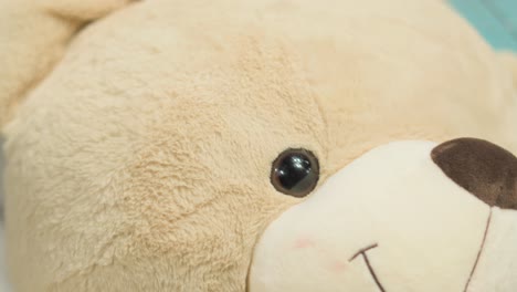 off-white-colour-teddy-bear-fcae-to-leg-closeup-view