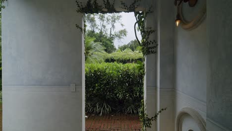 Walking-through-an-archway-covered-in-vines,-leading-into-a-lush-greenery-forest-with-rain-gently-falling