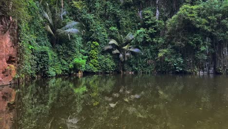 A-Serene-Lake-Surrounded-by-Limestone-Formations-Draped-in-Trees-and-Vines-at-Kek-Look-Tong-Cave-in-Ipoh,-Malaysia---Pan-Right-Shot