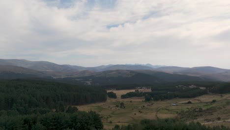 Frontalflug-Mit-Einer-Drohne,-Die-Von-Einem-Trockenen-Gebiet-Abhebt,-Und-Wir-Entdeckten-Einige-Kiefernwälder,-Trockene-Wiesen,-Weil-Es-Sommer-Ist,-Einen-Hintergrund-Aus-Bergen-Und-Einen-Wolkenverhangenen-Himmel