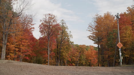 Sonniger-Herbsttag-Am-Berg-Mit-Farbigen-Blättern