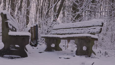 Zwei-Schneebedeckte-Bänke-Im-Park