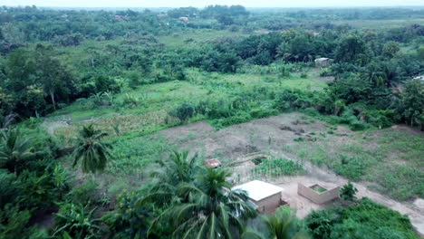 Flying-over-houses-and-farm-in-wetland-jungle-in-Benin