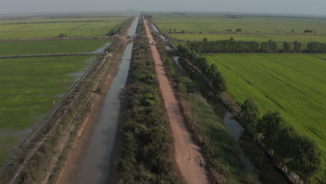 Volando-Sobre-La-Carretera-Y-El-Canal-De-Riego-Durante-La-Cosecha-De-Arroz-En-Camboya