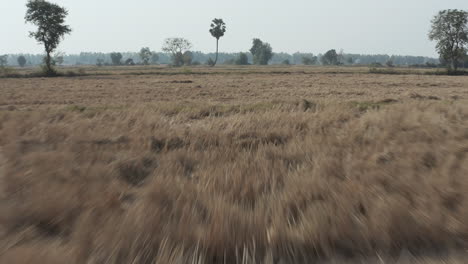 Tiefflug-über-Abgeerntetes-Land-In-Kambodscha