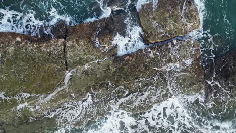 Top-down-view-of-strong-ocean-waves-crashing-on-flat-algae-covered-rocks,-white-water