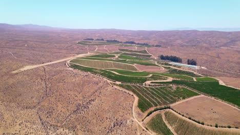 Drone-flyover-of-a-vineyard-hidden-among-arid-mountains-on-a-sunny,-clear-day-in-the-Limarí-Valley-in-Fray-Jorge,-Chile