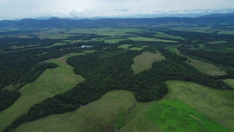 Scenic-aerial-view-of-a-lush-forest-captured-by-a-drone-flying-above-the-treetops