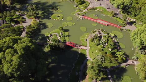 Drone-flight-over-Jardin-Japones,-Japanese-Garden-Park-in-Buenos-Aires---People-crossing-bridge-above-lake-and-enjoying-beautiful-nature-at-sunny-day