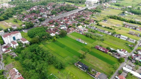 Beautiful-Indonesian-homes-and-vibrant-fields,-aerial-view