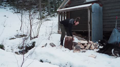 Man-Chopping-Wood-Log-In-Outdoor-Winter-With-His-Alaskan-Malamute-Dog-Breed