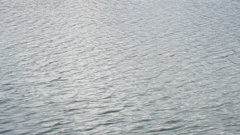 Closeup-surface-of-clear-water-with-small-ripple-waves-in-lake-cloudy-day
