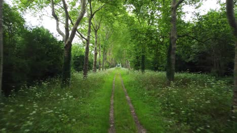 Siguiendo-Un-Camino-Por-Drone,-Cubierto-Por-árboles-Alrededor,-Francia