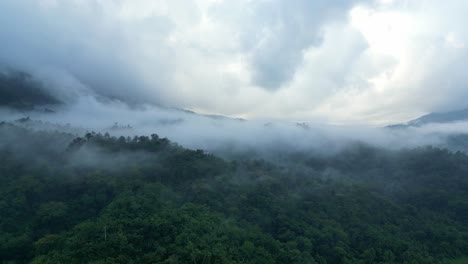 Vista-De-Abundantes-Bosques-Cubiertos-De-Nubes-Matutinas-Brumosas-En-Catanduanes,-Filipinas