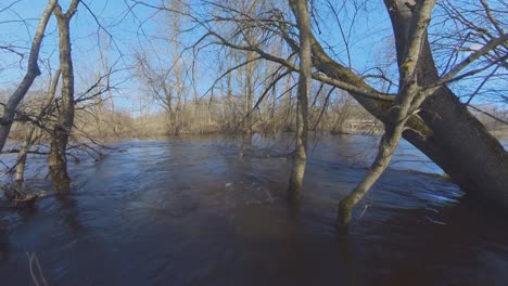 árboles-Sin-Hojas-En-Un-Río-Inundado-En-Primavera