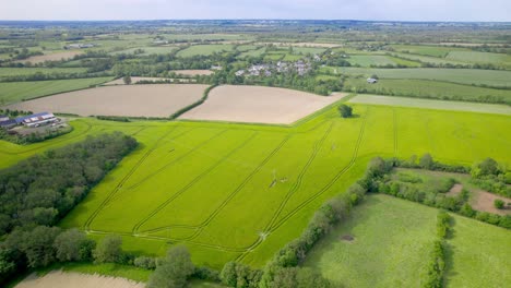 Countryside-landscape-of-France-in-green-vibrant-colors,-aerial-drone-view