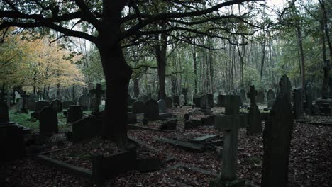 Großer-Baum-Auf-Dem-Friedhof-Im-Herbst