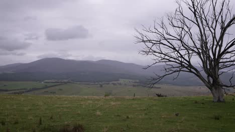 Vistas-A-La-Región-De-Nueva-Gales-Del-Sur-Cerca-Del-Mirador-Conmemorativo-De-La-Nube-Del-Sur-En-Un-Día-Nublado