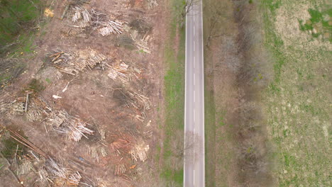 Aerial-top-down-shot-of-rural-street-with-car-next-to-deforested-woodland