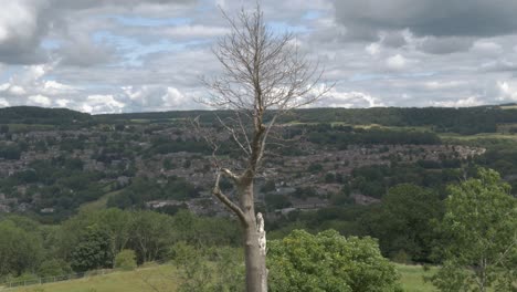 Bare-tree-on-top-of-hill-overlooking-village-built-on-hill
