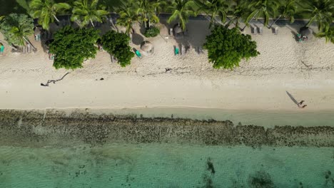 People-relaxing-on-tropical-beach,-overhead-aerial-shot